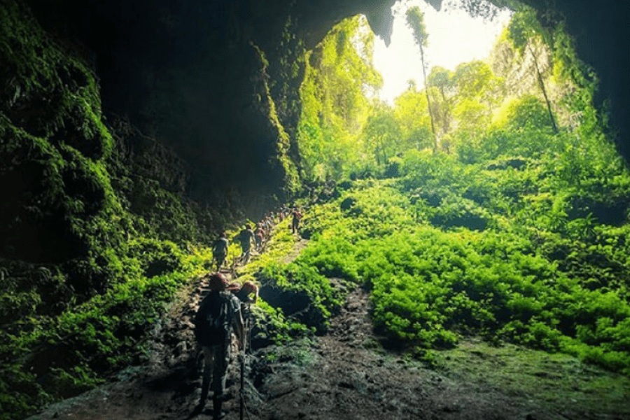 jomblang cave yogyakarta best adventure tour jogja